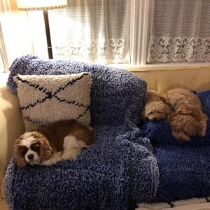 Meet your Posher, Julia